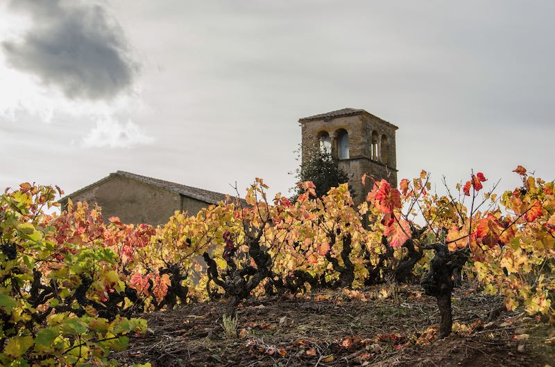 beaujolais in autumn