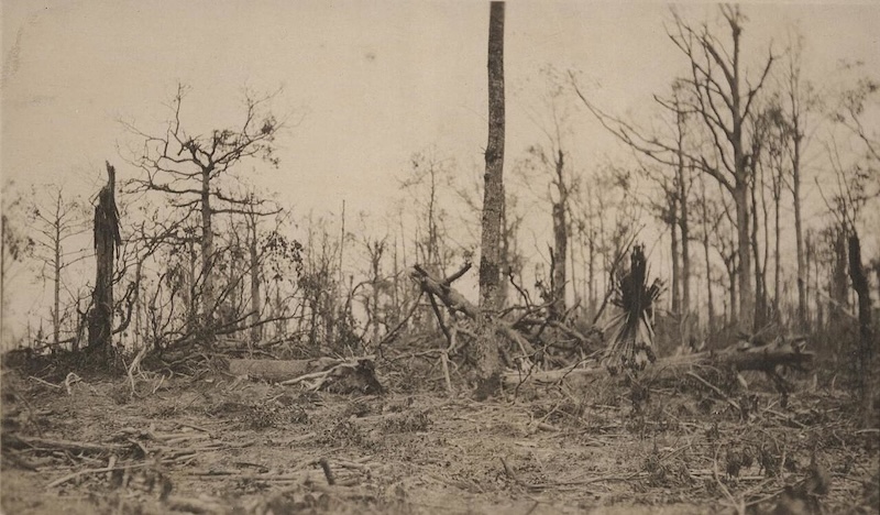 Old image of Belleau Wood after the 1918 battle