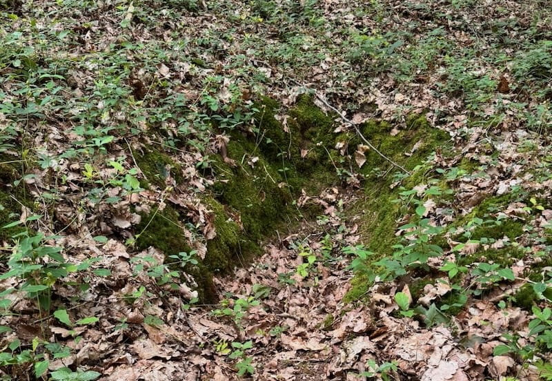 Foxhole in Belleau Wood, in the Aise department of France