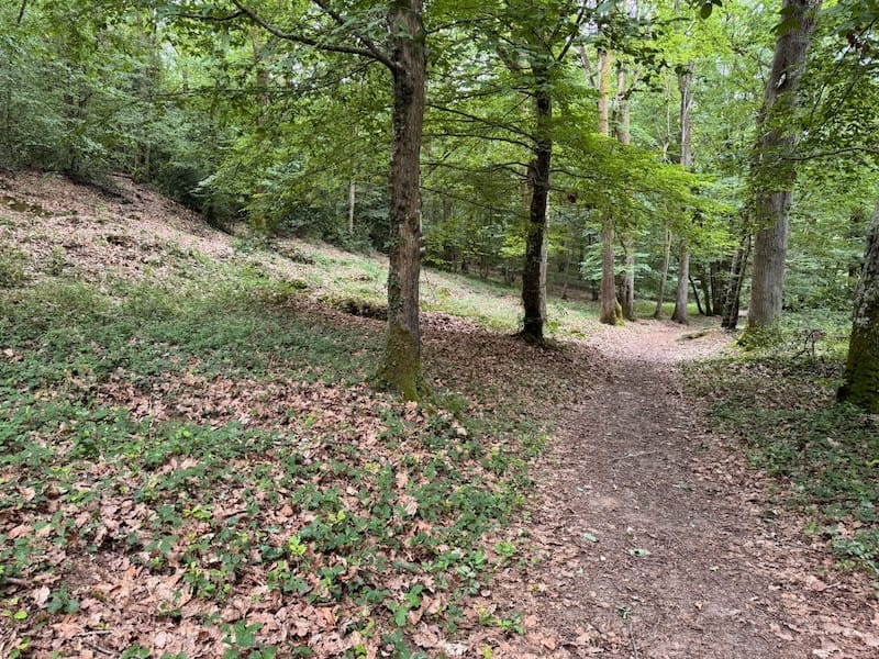 Belleau Wood looking peaceful