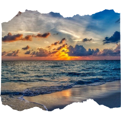 Things to do in Lyon thumbnail