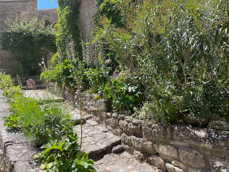 Cobblestoned alley in Bonnieux, bordered by flowers and plants Cobblestoned alley in Bonnieux, bordered by flowers and plants