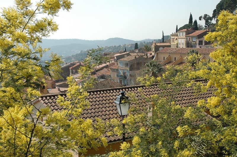 Bormes-les-mimosas along Mimosa Route