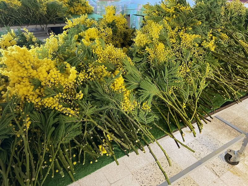 mimosa bouquets
