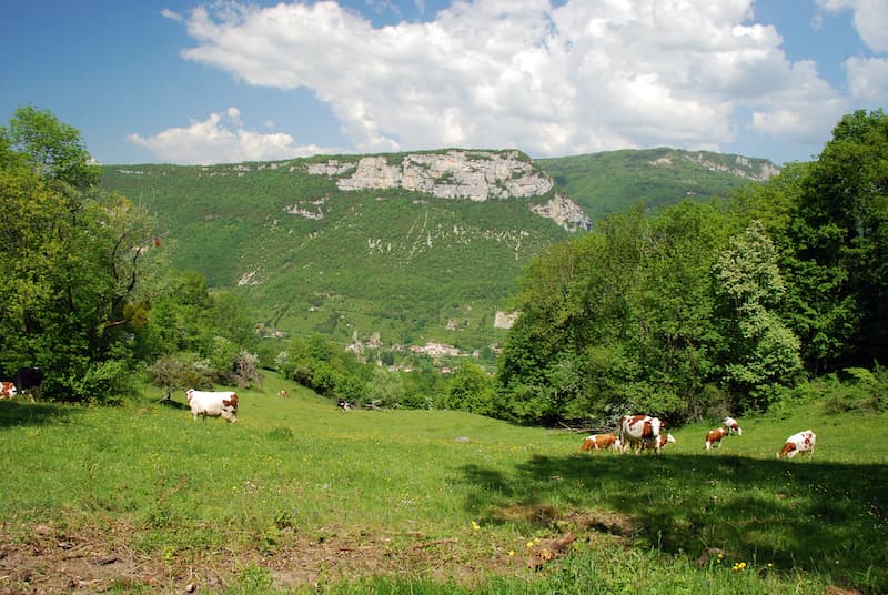 bugey mountains