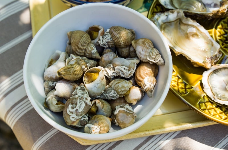 foods from France - sea snails, or bulots