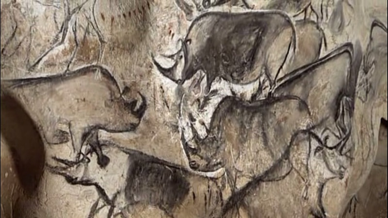 Rhinos drawn on walls at prehistoric cave of Chauvet, Ardeche