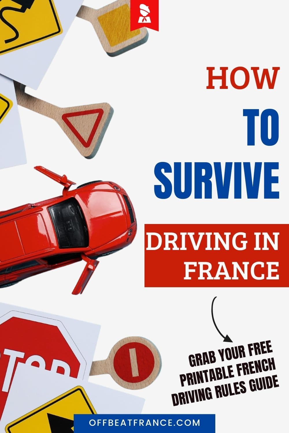 Driving in France pin