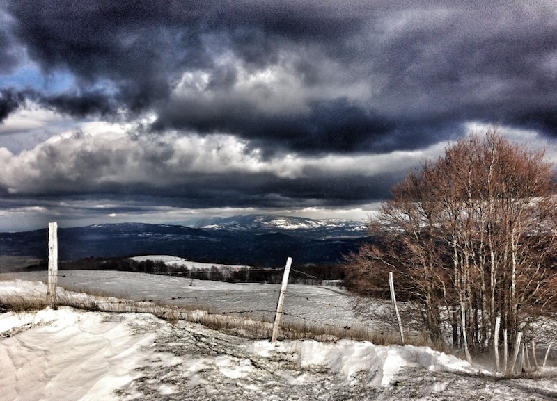 early december snow
