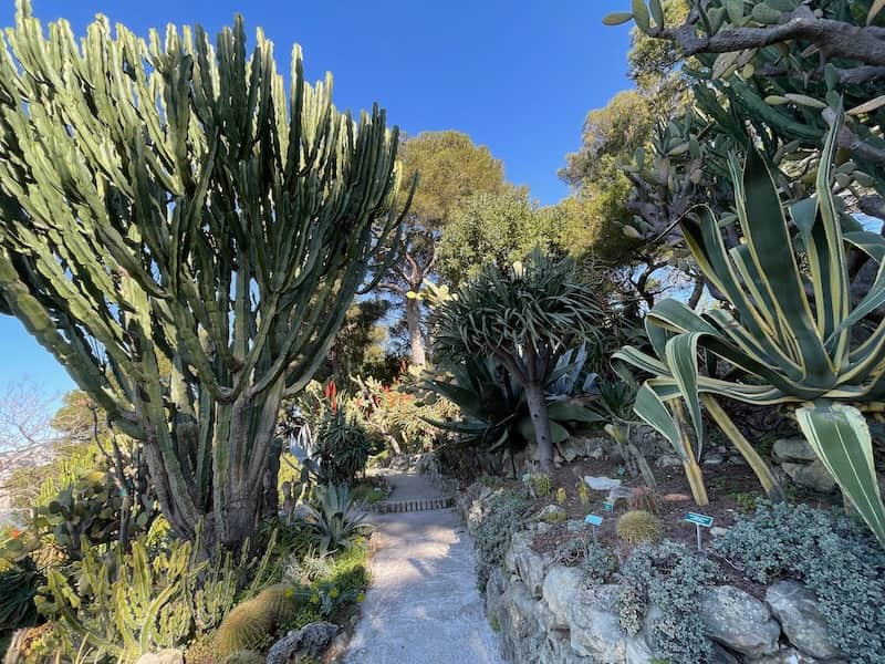 Villa Ephrussi Exotic Garden