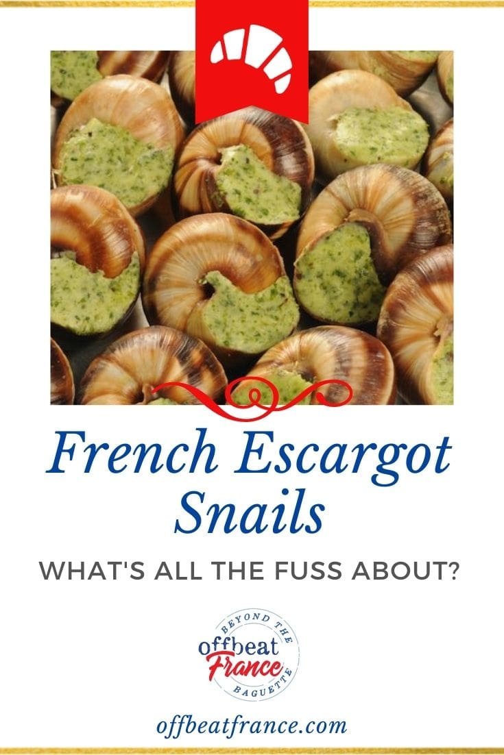 French snails escargots pin