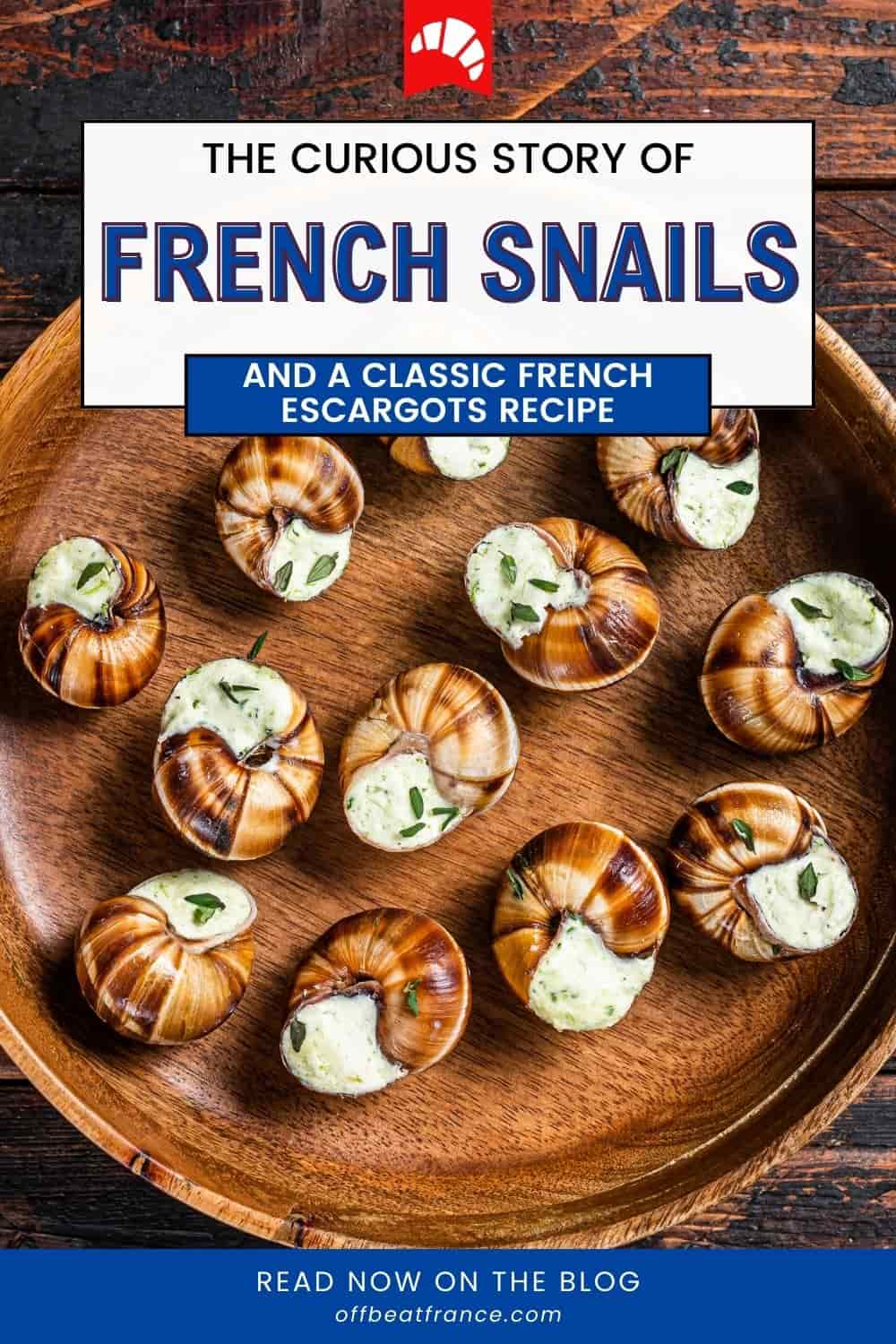 Escargot pin