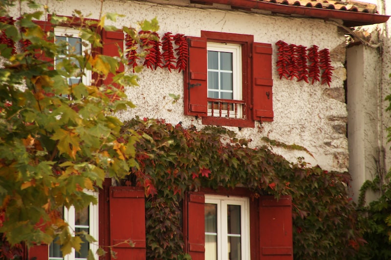 Typical Basque house with chilli peppers drying on its walls in Espelette, Basque country, France