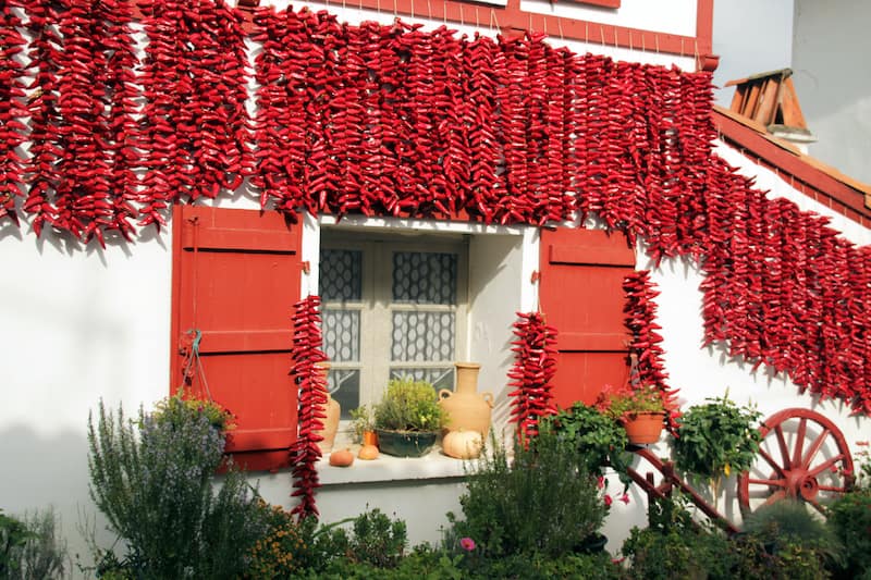 Village of Espelette with hanging chilis on house walls, Basque region, France in June