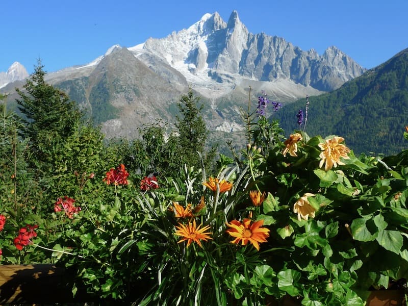 French Alps in June
