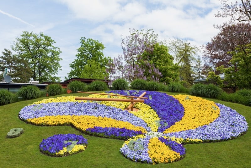 Geneva flower clock