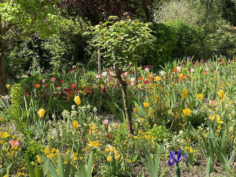 Clos Normand garden in Giverny