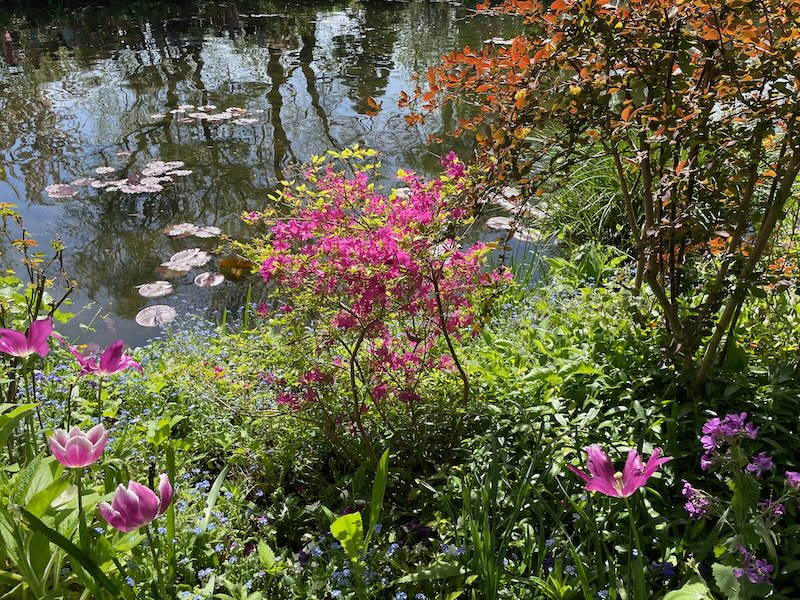 Lily pond at Giverny, Monet's home