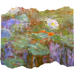 Water lilies thumbnail