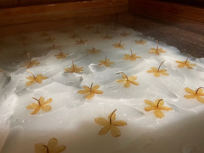Technique of enfleurage to make perfume in Grasse