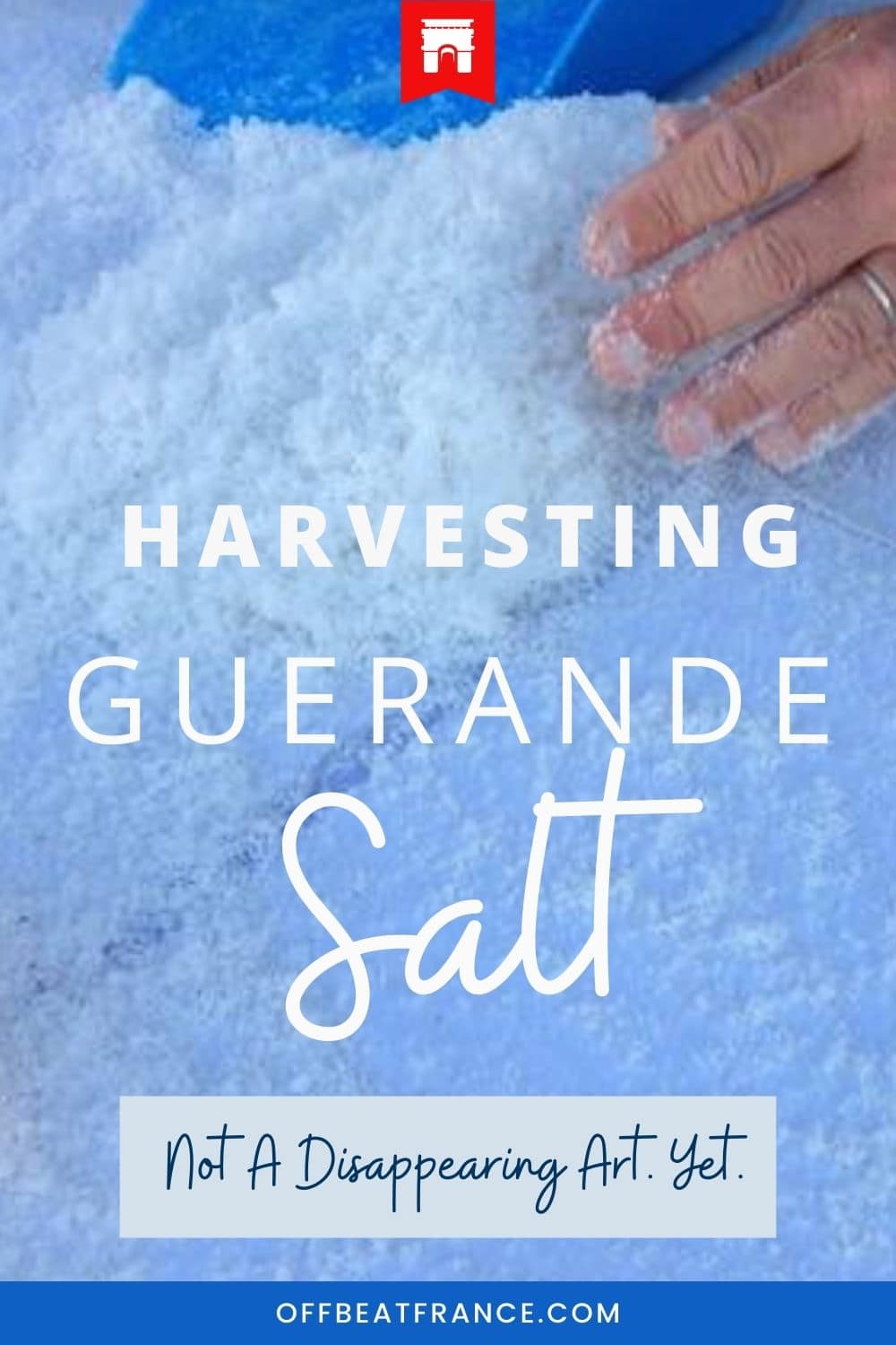 Guerande salt pin
