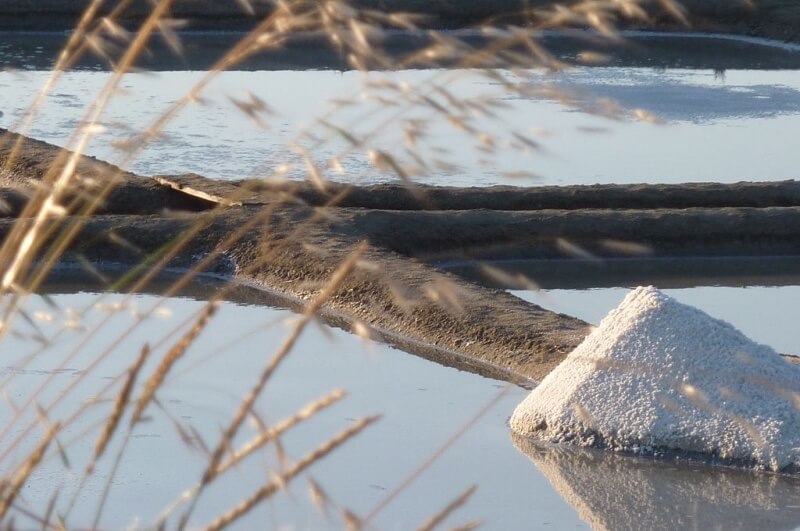 Mound of French sea salt in Guerande