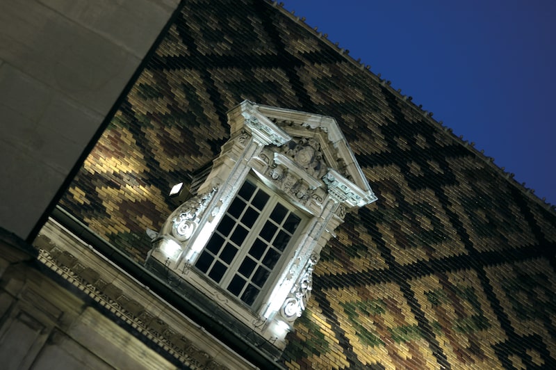 Hotel Vogüé roof, Dijon, France Hotel Vogüé roof, Dijon, France