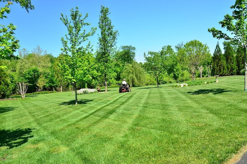 Mowing a green lawn