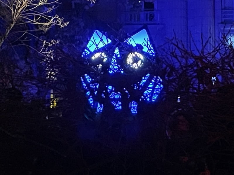 Lyon festival of lights - giant cat Lyon festival of lights - giant cat