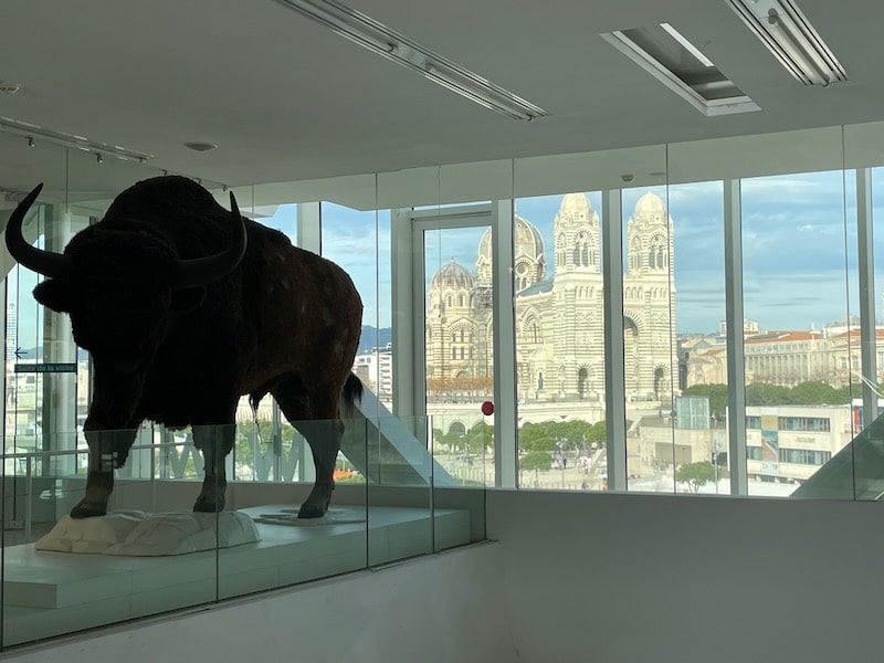 Extinct buffalo at the exhibition at the Cosquer Grotto, with La Major Cathedral in the background. Extinct buffalo at the exhibition at the Cosquer Grotto, with La Major Cathedral in the background.