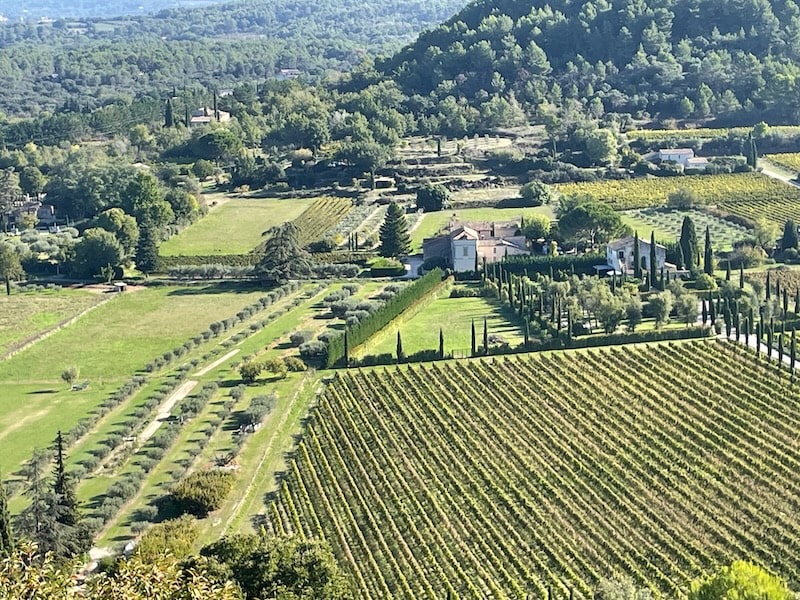 View from Menerbes to the vineyards below
