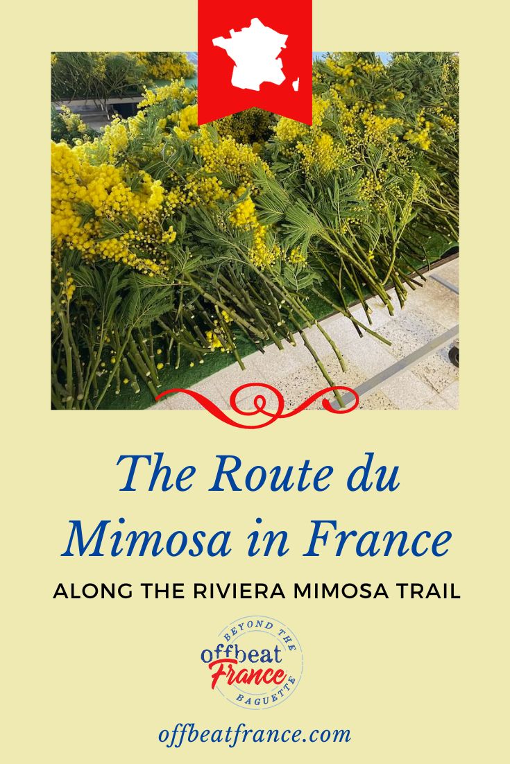 Mimosa route in France pin1