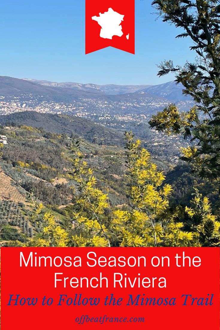 Mimosa route in France pin2
