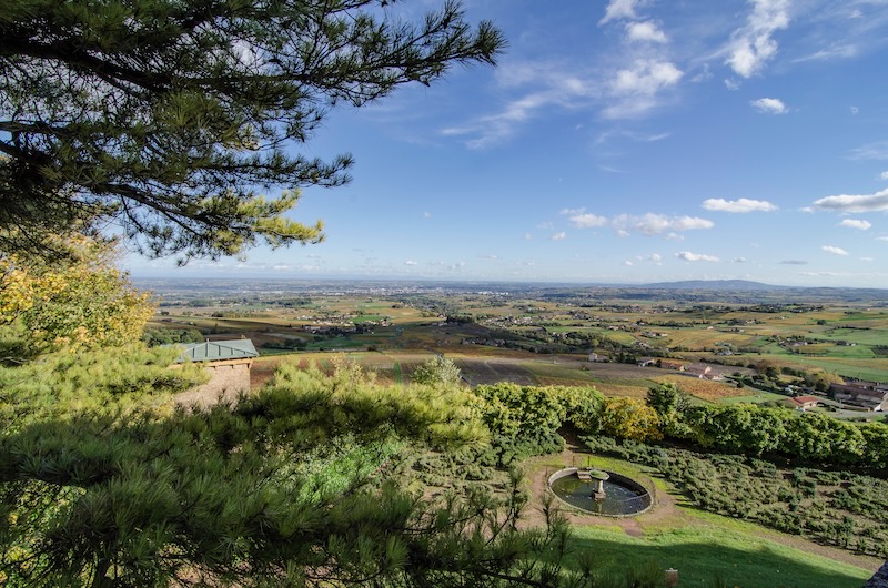 View of Beaujolais vineyards from Montmelas Castle