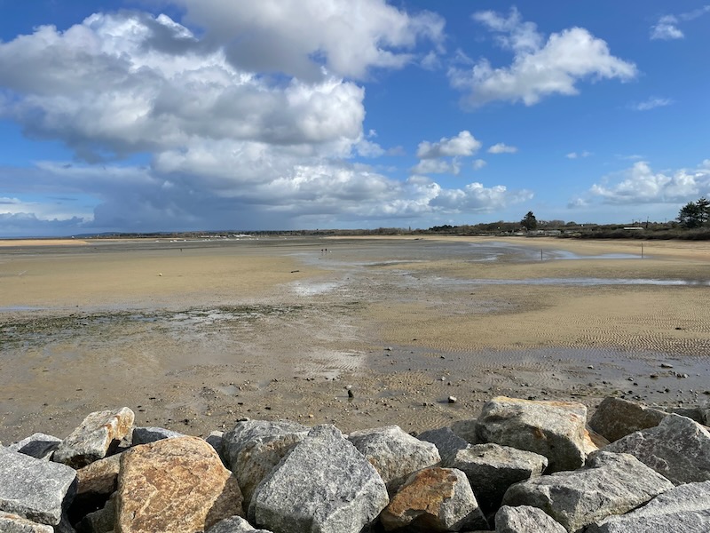 Clam digging in Ouistreham