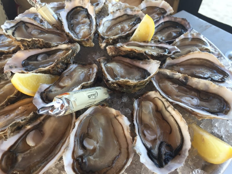 Oyster platter from the Bay of Arcachon, France Oyster platter from the Bay of Arcachon, France