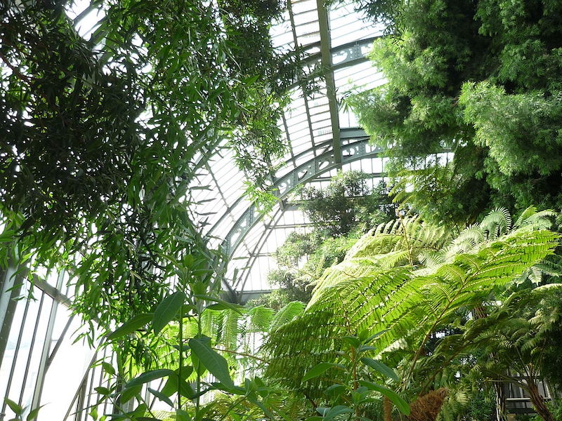 Grandes Serres in the Jardin des Plantes Grandes Serres in the Jardin des Plantes