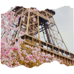 Paris in spring thumbnail