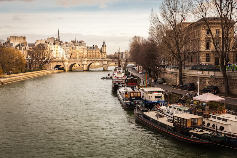 December in Paris, with bare trees and a crispy clear sky