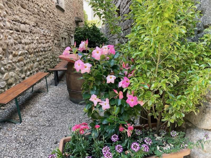 Flowers blooming in the streets of Perouges, near Lyon