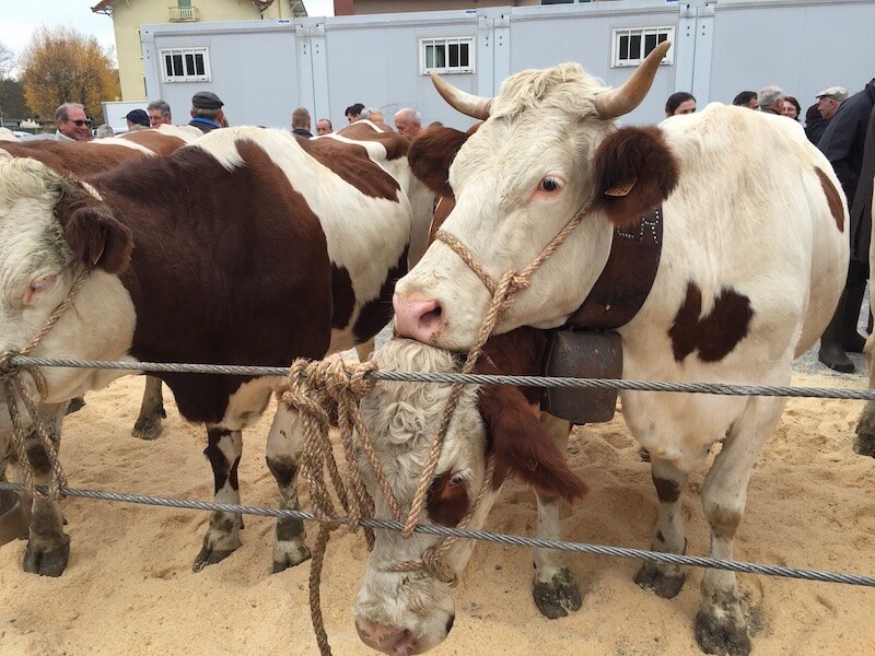 country fair in France