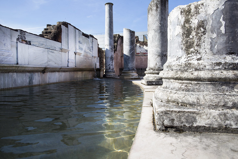 Columns in Roman Vienne France