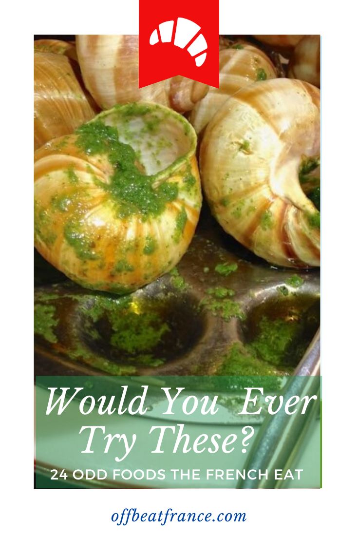 Weird French foods - snails